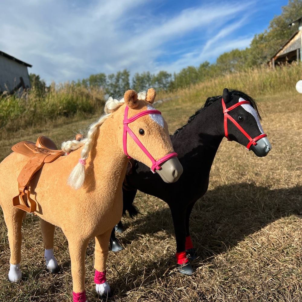 My Life As palomino and black horse with white blaze.